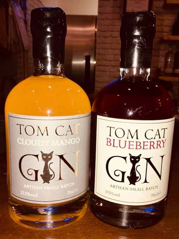Tom Cat Gin